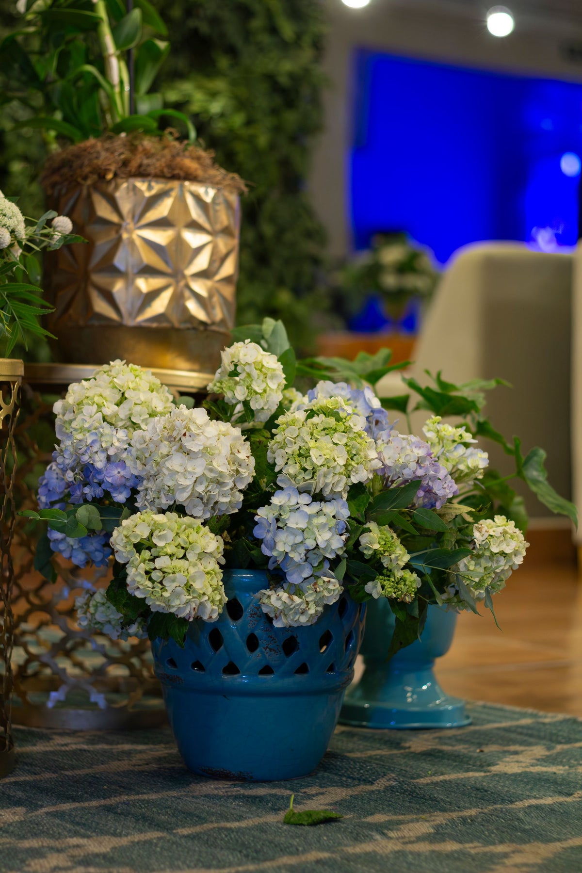 Hydrangeas in a cobalt planter in a bright commercial interior